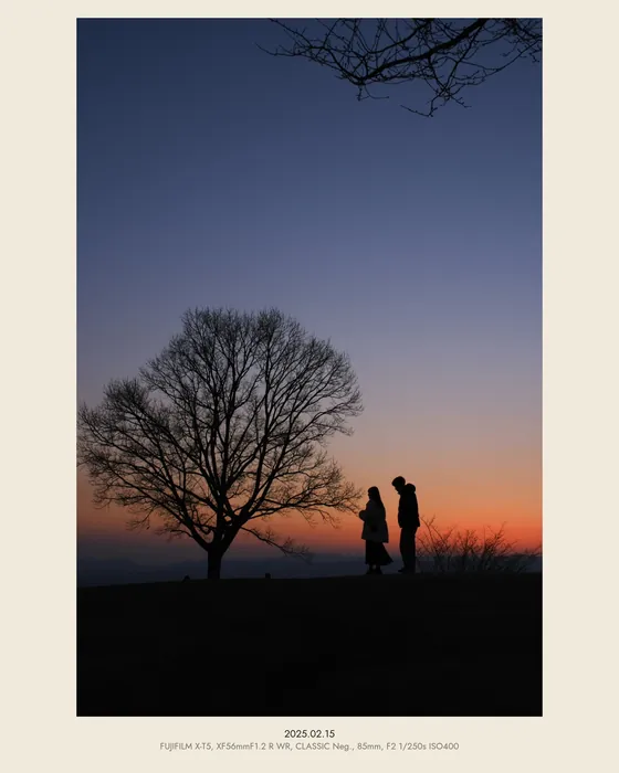 Silhouettes of a winter tree and two people, in an ivory frame