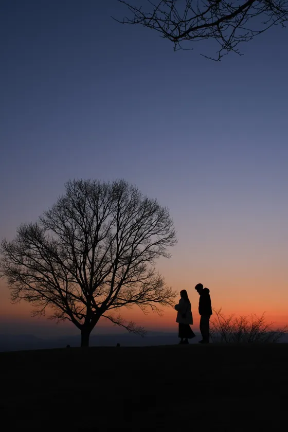 Silhouettes of a bare winter tree and two people on a hill at dusk. The original photo with no frame