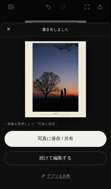 The export screen with a Save to Photos / Share button