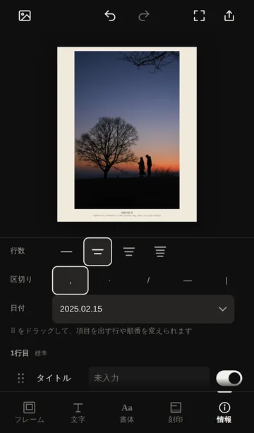 The Info screen in Fuchidori, with line count, separator, date format and an input for each item