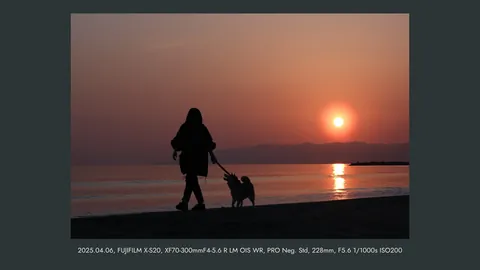The same photo in a dark grey wide frame